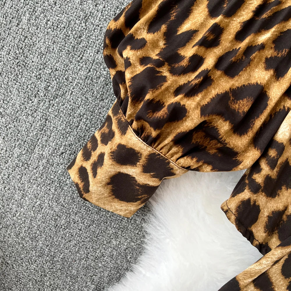 Set Leopard Print 2 pcs for women Long Sleeve Shirts Casual Loose Pantalon Outfits