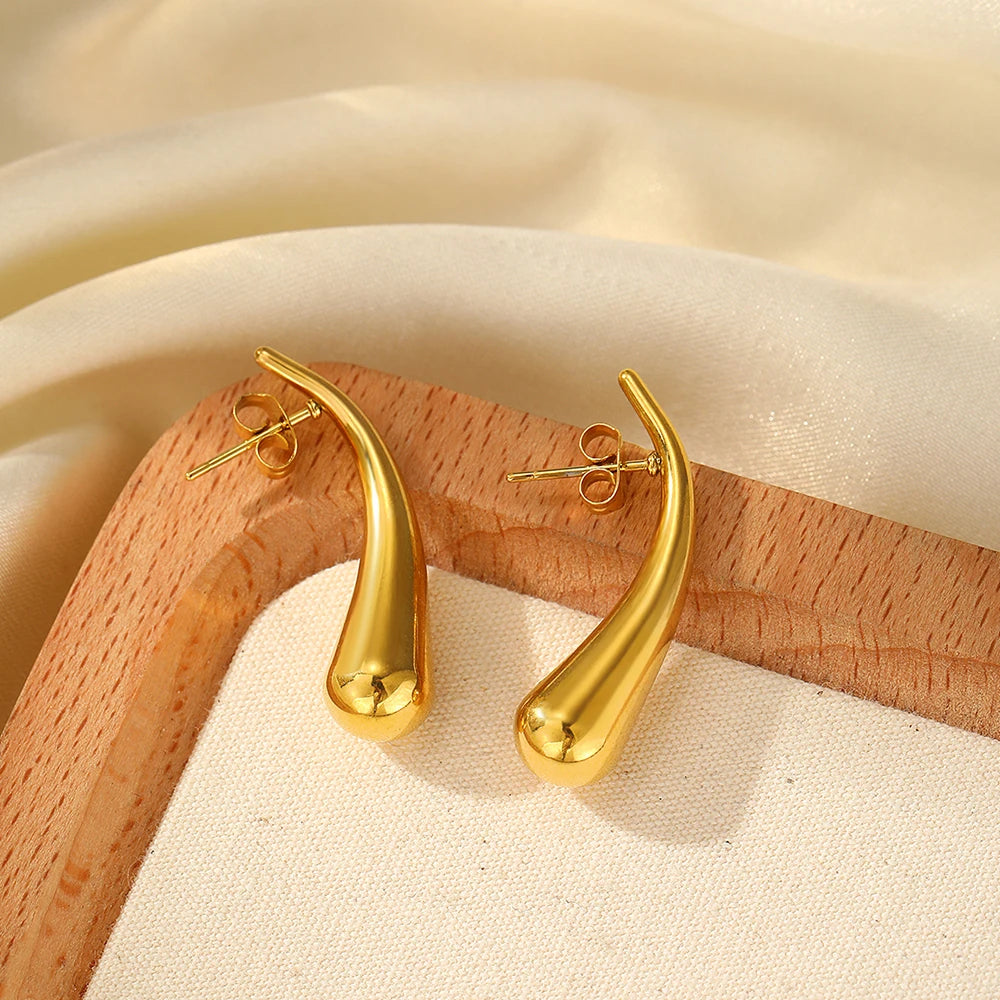 Elegant Stainless Women's Earrings