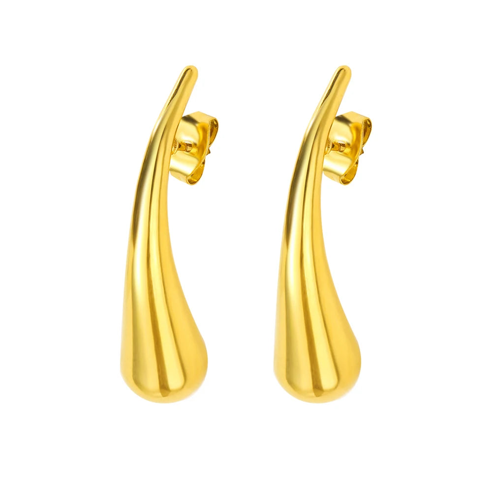 Elegant Stainless Women's Earrings