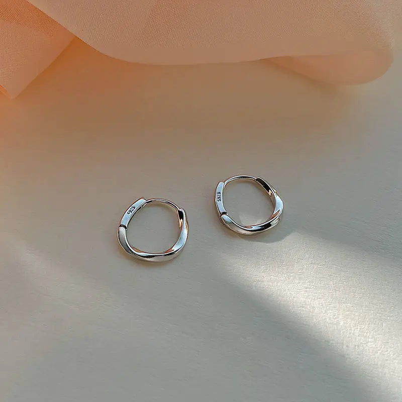 Stainless Steel Smooth Earrings for Women