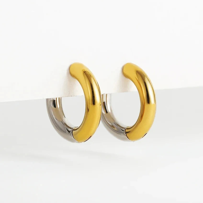 Gold&Silver Plated Earrings for Women