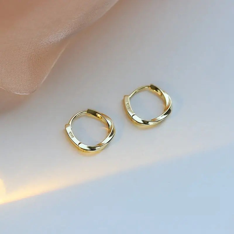 Stainless Steel Smooth Earrings for Women