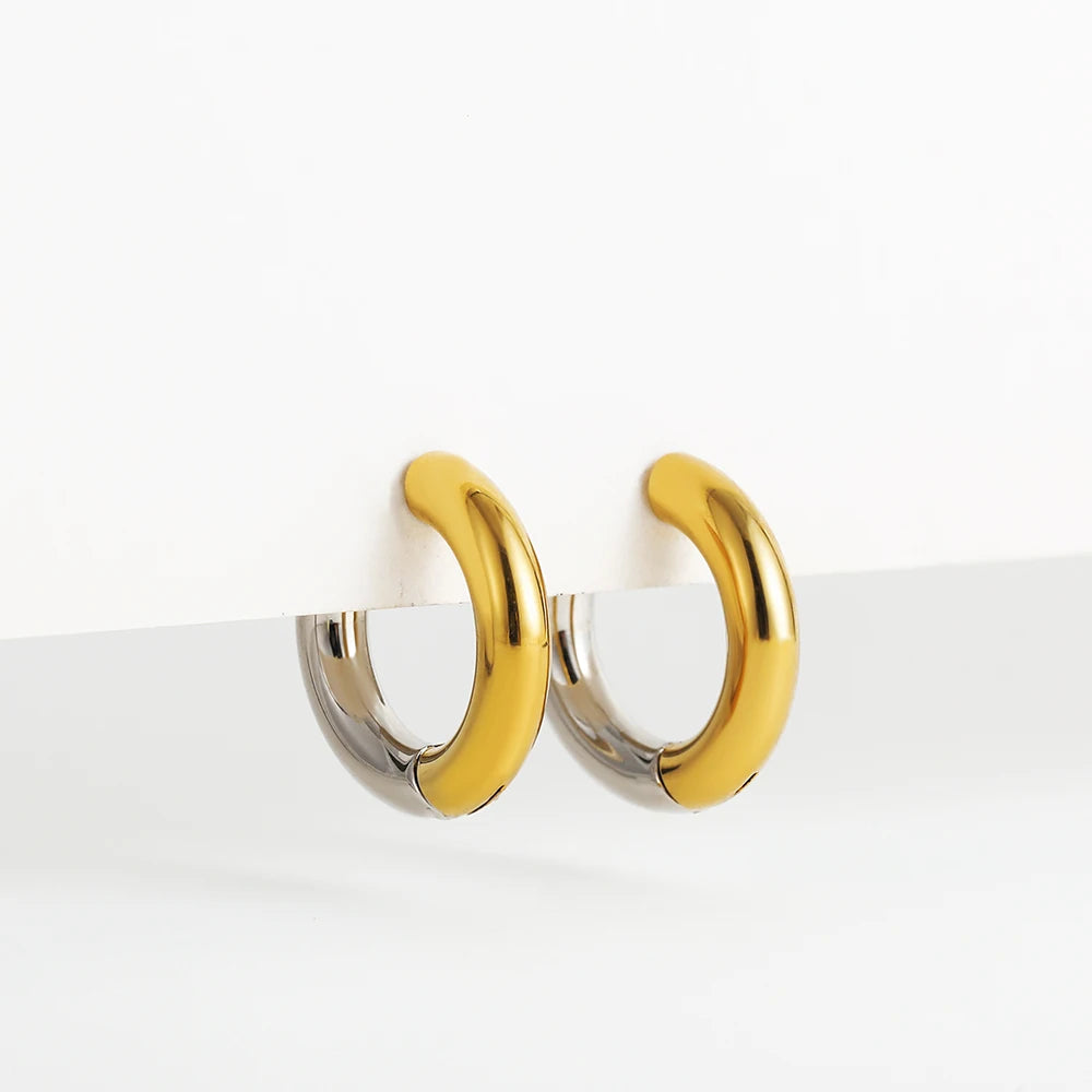 Gold&Silver Plated Earrings for Women