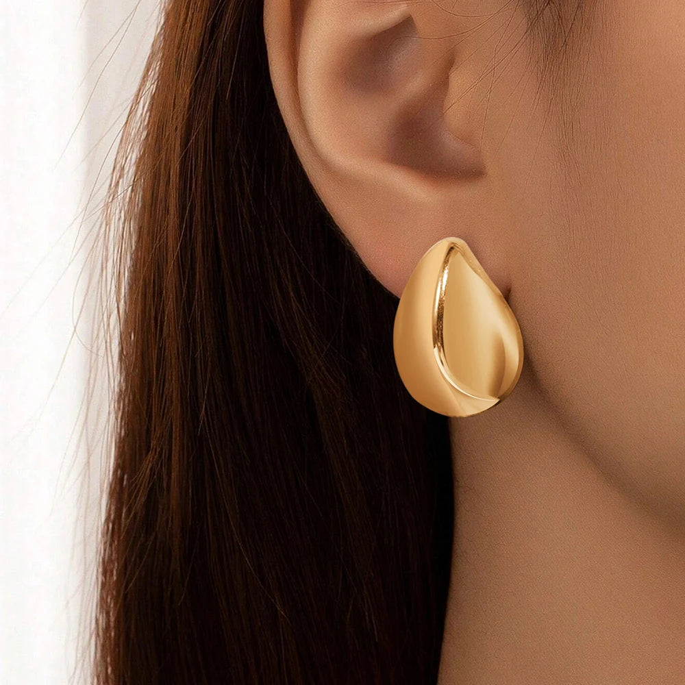 Elegant Women's Earrings