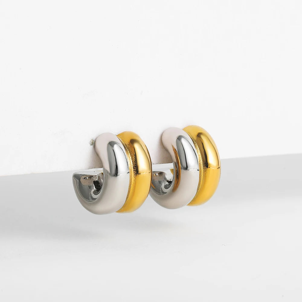 Gold&Silver Plated Earrings for Women