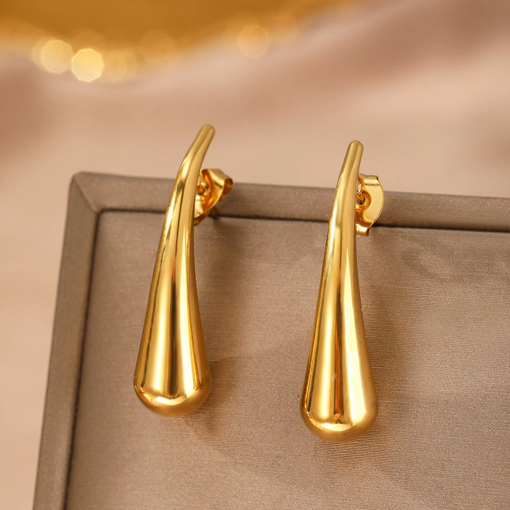 Elegant Stainless Women's Earrings