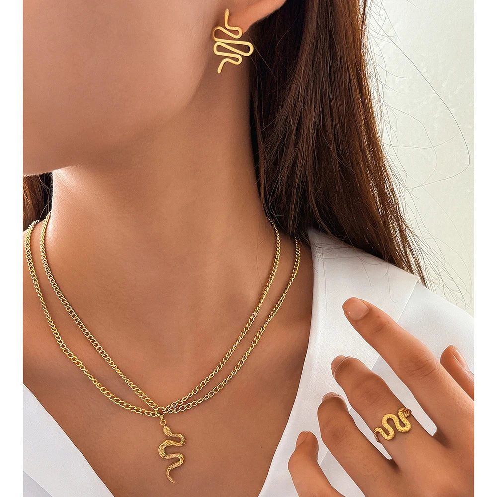 Steel Jewelry Set Fashionable Atmosphere Snake Earrings Snake