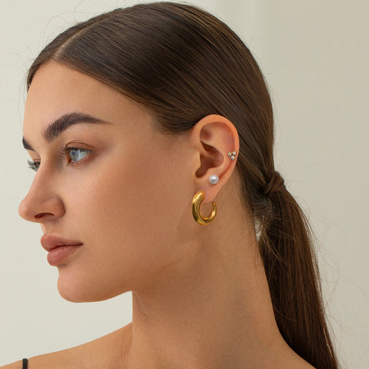 Women's Stainless Earrings